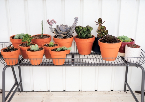 Iron Stand for Plants Pot for Outdoors